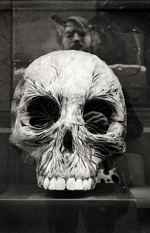 self-portrait with skull and horrors not pictured