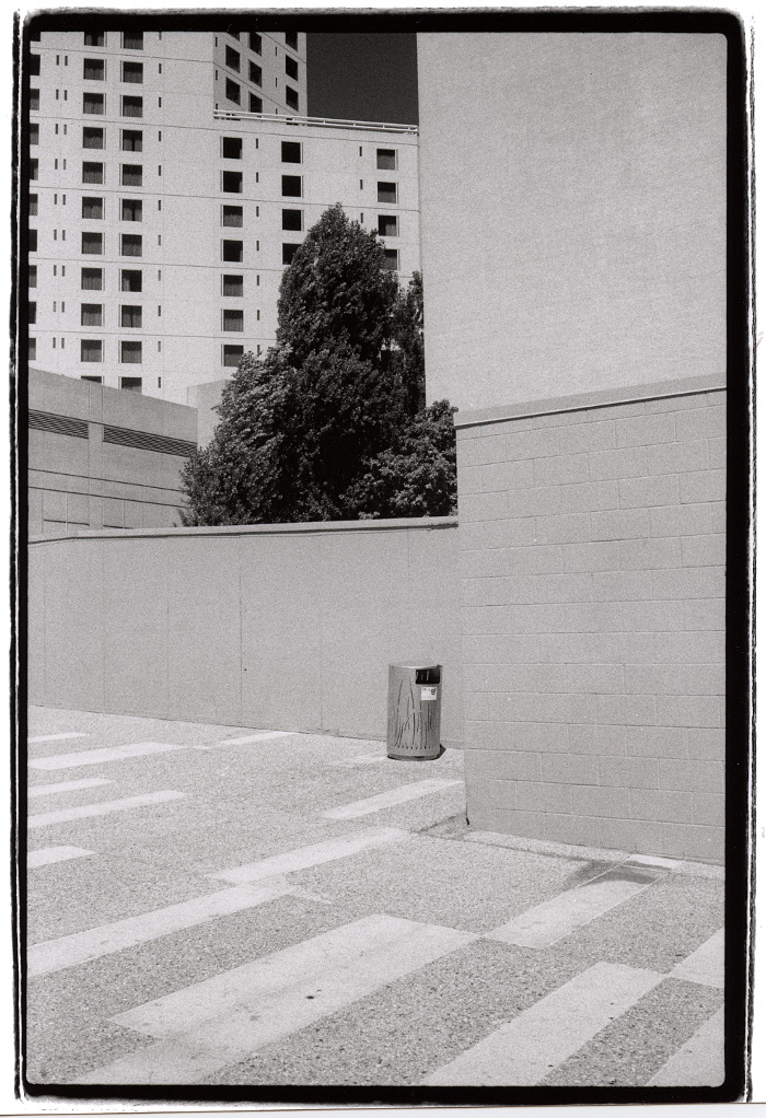 transposed tree and can