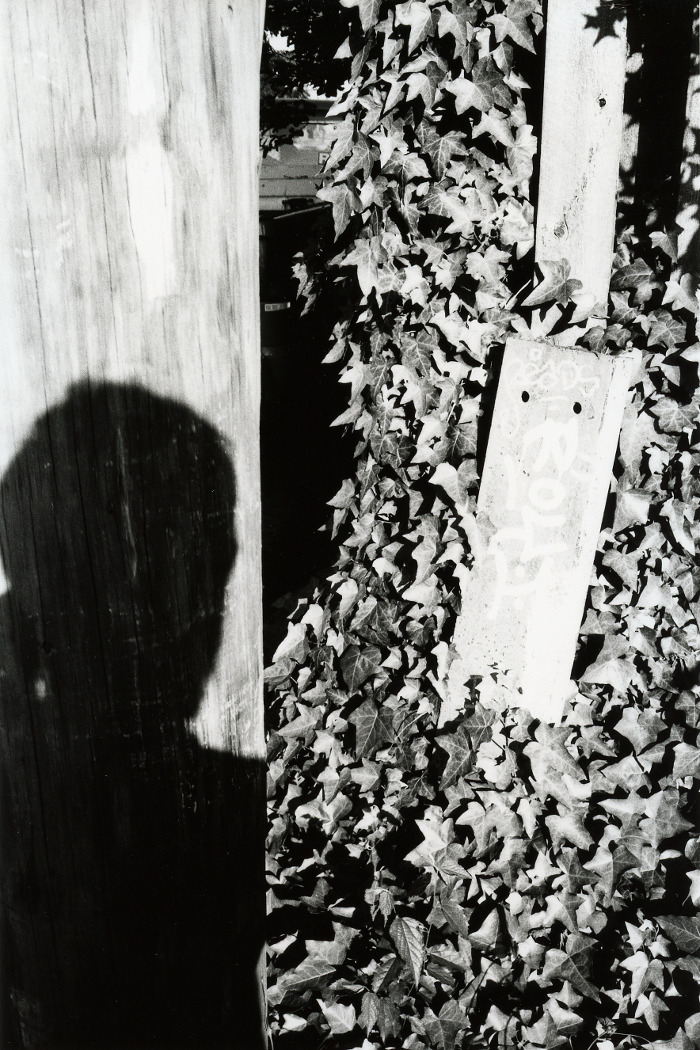 self portrait